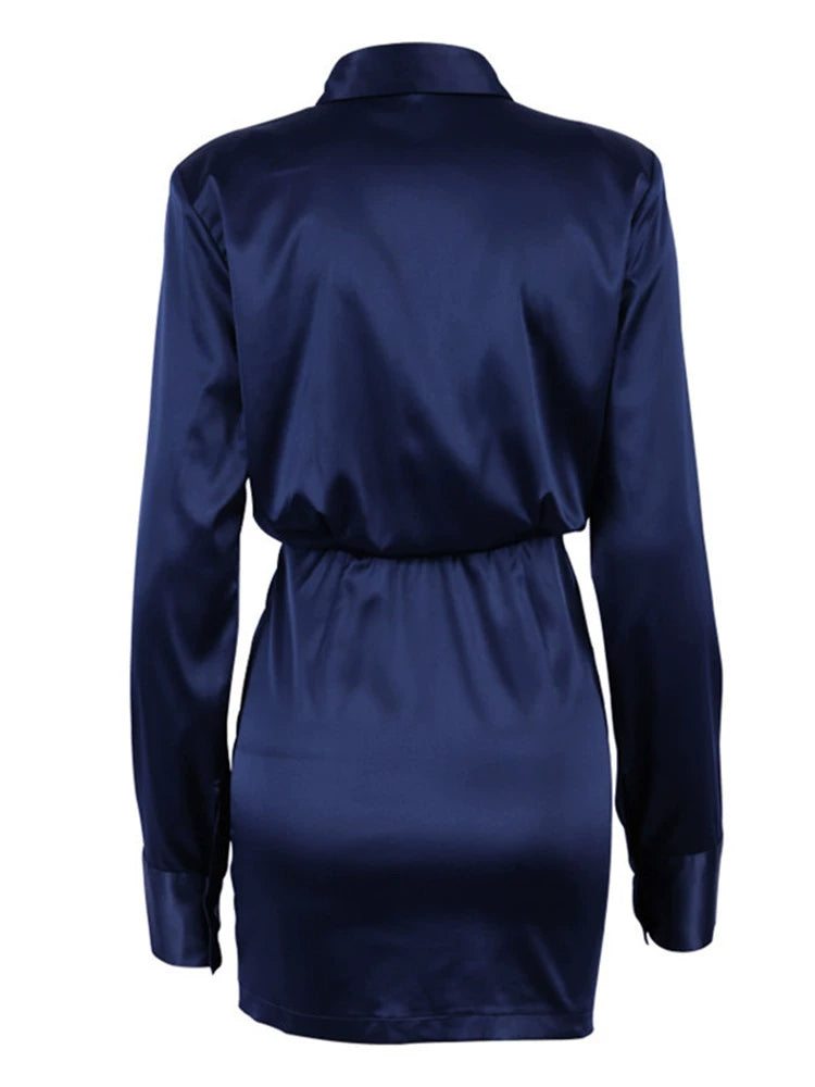 Silken Authority Dress