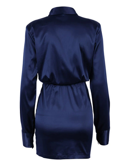 Silken Authority Dress